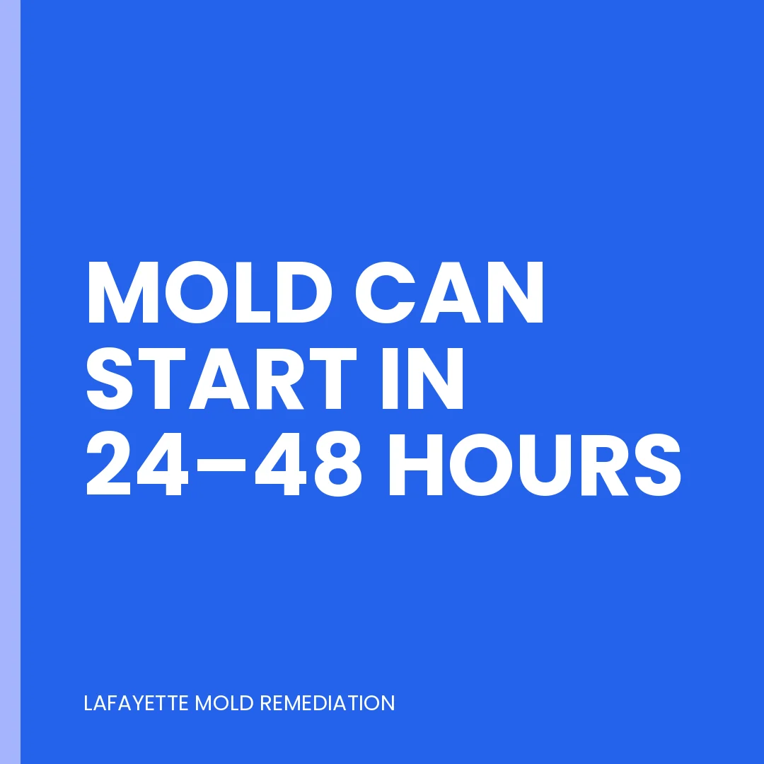 Mold can start in 24–48 hours