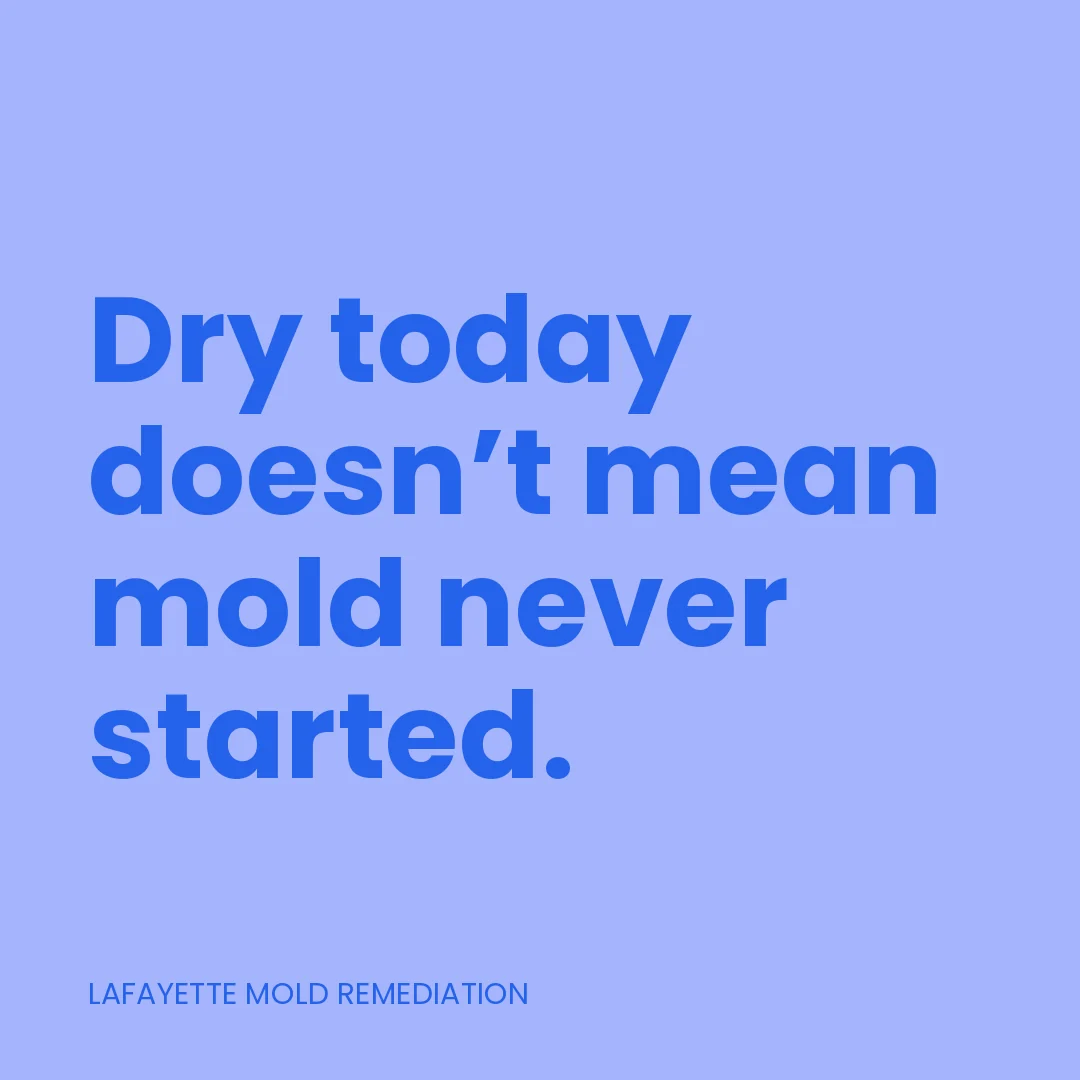 Dry today doesn’t mean mold never started.